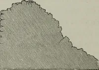 An illustration from The principles of Gothic ecclesiastical architecture : with an explanation of technical terms and a centenary of ancient terms ... (1882)