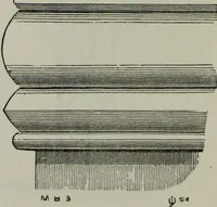 An illustration from The principles of Gothic ecclesiastical architecture : with an explanation of technical terms and a centenary of ancient terms ... (1882)