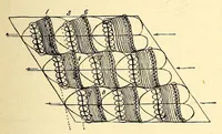 An illustration from The principles of light and color: including among other things the harmonic laws of the universe, the etherio-atomic philosophy of force, chromo chemistry, chromo therapeutics, and the general philosophy of the fine forces, together with numerous discoveries and practical applications .. (1878)