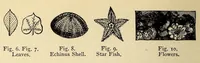 Picture 1 of 18 from The principles of light and color: including among other things the harmonic laws of the universe, the etherio-atomic philosophy of force, chromo chemistry, chromo therapeutics, and the general philosophy of the fine forces, together with numerous discoveries and practical applications .. (1878), leaf 24