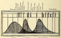 An illustration from The principles of light and color: including among other things the harmonic laws of the universe, the etherio-atomic philosophy of force, chromo chemistry, chromo therapeutics, and the general philosophy of the fine forces, together with numerous discoveries and practical applications .. (1878)