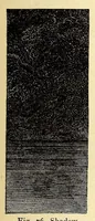 An illustration from The principles of light and color: including among other things the harmonic laws of the universe, the etherio-atomic philosophy of force, chromo chemistry, chromo therapeutics, and the general philosophy of the fine forces, together with numerous discoveries and practical applications .. (1878)