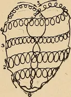 An illustration from The principles of light and color : including among other things the harmonic laws of the universe, the etherio-atomic philosophy of force, chromo chemistry, chromo therapeutics, and the general philosophy of the fine forces, together with numerous discoveries and practical applications. Illustrated by more than two hundred engravings and four colored plates (1896)