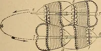 An illustration from The principles of light and color : including among other things the harmonic laws of the universe, the etherio-atomic philosophy of force, chromo chemistry, chromo therapeutics, and the general philosophy of the fine forces, together with numerous discoveries and practical applications. Illustrated by more than two hundred engravings and four colored plates (1896)