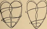 An illustration from The principles of light and color : including among other things the harmonic laws of the universe, the etherio-atomic philosophy of force, chromo chemistry, chromo therapeutics, and the general philosophy of the fine forces, together with numerous discoveries and practical applications. Illustrated by more than two hundred engravings and four colored plates (1896)