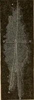 An illustration from The principles of light and color : including among other things the harmonic laws of the universe, the etherio-atomic philosophy of force, chromo chemistry, chromo therapeutics, and the general philosophy of the fine forces, together with numerous discoveries and practical applications. Illustrated by more than two hundred engravings and four colored plates (1896)