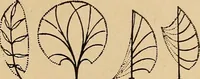 An illustration from The principles of light and color : including among other things the harmonic laws of the universe, the etherio-atomic philosophy of force, chromo chemistry, chromo therapeutics, and the general philosophy of the fine forces, together with numerous discoveries and practical applications. Illustrated by more than two hundred engravings and four colored plates (1896)