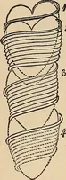 An illustration from The principles of light and color : including among other things the harmonic laws of the universe, the etherio-atomic philosophy of force, chromo chemistry, chromo therapeutics, and the general philosophy of the fine forces, together with numerous discoveries and practical applications. Illustrated by more than two hundred engravings and four colored plates (1896)