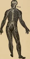 An illustration from The principles of light and color : including among other things the harmonic laws of the universe, the etherio-atomic philosophy of force, chromo chemistry, chromo therapeutics, and the general philosophy of the fine forces, together with numerous discoveries and practical applications. Illustrated by more than two hundred engravings and four colored plates (1896)
