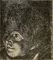 An illustration from The principles of light and color : including among other things the harmonic laws of the universe, the etherio-atomic philosophy of force, chromo chemistry, chromo therapeutics, and the general philosophy of the fine forces, together with numerous discoveries and practical applications. Illustrated by more than two hundred engravings and four colored plates (1896)