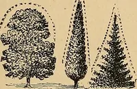 An illustration from The principles of light and color : including among other things the harmonic laws of the universe, the etherio-atomic philosophy of force, chromo chemistry, chromo therapeutics, and the general philosophy of the fine forces, together with numerous discoveries and practical applications. Illustrated by more than two hundred engravings and four colored plates (1896)