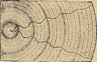 An illustration from The principles of light and color : including among other things the harmonic laws of the universe, the etherio-atomic philosophy of force, chromo chemistry, chromo therapeutics, and the general philosophy of the fine forces, together with numerous discoveries and practical applications. Illustrated by more than two hundred engravings and four colored plates (1896)