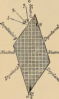 An illustration from The principles of light and color : including among other things the harmonic laws of the universe, the etherio-atomic philosophy of force, chromo chemistry, chromo therapeutics, and the general philosophy of the fine forces, together with numerous discoveries and practical applications. Illustrated by more than two hundred engravings and four colored plates (1896)