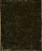 An illustration from The principles of light and color : including among other things the harmonic laws of the universe, the etherio-atomic philosophy of force, chromo chemistry, chromo therapeutics, and the general philosophy of the fine forces, together with numerous discoveries and practical applications. Illustrated by more than two hundred engravings and four colored plates (1896)