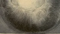 An illustration from The principles of light and color : including among other things the harmonic laws of the universe, the etherio-atomic philosophy of force, chromo chemistry, chromo therapeutics, and the general philosophy of the fine forces, together with numerous discoveries and practical applications. Illustrated by more than two hundred engravings and four colored plates (1896)