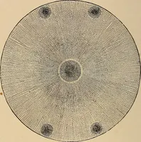 An illustration from The principles of light and color : including among other things the harmonic laws of the universe, the etherio-atomic philosophy of force, chromo chemistry, chromo therapeutics, and the general philosophy of the fine forces, together with numerous discoveries and practical applications. Illustrated by more than two hundred engravings and four colored plates (1896)