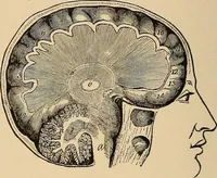 An illustration from The principles of light and color : including among other things the harmonic laws of the universe, the etherio-atomic philosophy of force, chromo chemistry, chromo therapeutics, and the general philosophy of the fine forces, together with numerous discoveries and practical applications. Illustrated by more than two hundred engravings and four colored plates (1896)