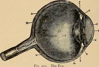 An illustration from The principles of light and color : including among other things the harmonic laws of the universe, the etherio-atomic philosophy of force, chromo chemistry, chromo therapeutics, and the general philosophy of the fine forces, together with numerous discoveries and practical applications. Illustrated by more than two hundred engravings and four colored plates (1896)