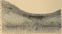 An illustration from The principles of light and color : including among other things the harmonic laws of the universe, the etherio-atomic philosophy of force, chromo chemistry, chromo therapeutics, and the general philosophy of the fine forces, together with numerous discoveries and practical applications. Illustrated by more than two hundred engravings and four colored plates (1896)