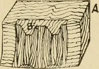 An illustration from The principles of pattern making, written specially for apprentices and students in technical schools (1900)