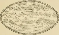 An illustration from The principles of pattern making, written specially for apprentices and students in technical schools (1900)
