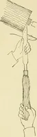 An illustration from The principles of pattern making, written specially for apprentices and students in technical schools (1900)