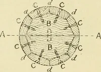 An illustration from The principles of pattern making, written specially for apprentices and students in technical schools (1900)