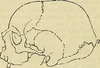 Picture 13 of 41 from The principles of phrenology (1838), leaf 101