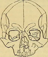 Picture 17 of 41 from The principles of phrenology (1838), leaf 143