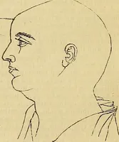 Picture 21 of 41 from The principles of phrenology (1838), leaf 160
