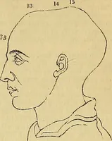 Picture 23 of 41 from The principles of phrenology (1838), leaf 164