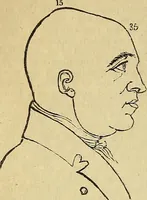 An illustration from The principles of phrenology (1838)