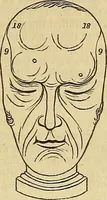 Picture 26 of 41 from The principles of phrenology (1838), leaf 180