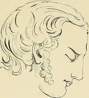 Picture 32 of 41 from The principles of phrenology (1838), leaf 239