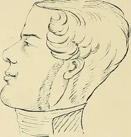 An illustration from The principles of phrenology (1838)