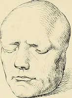 An illustration from The principles of phrenology (1838)