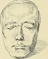 Picture 35 of 41 from The principles of phrenology (1838), leaf 239