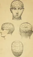 Picture 1 of 41 from The principles of phrenology (1838), leaf 7