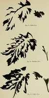 Picture 4 of 123 from The principles and practice of textile printing (1912), leaf 44