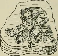 An illustration from The principles and practice of textile printing (1912)