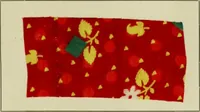 An illustration from The principles and practice of textile printing (1912)