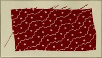 An illustration from The principles and practice of textile printing (1912)