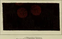 An illustration from The principles and practice of textile printing (1912)