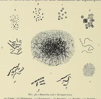 An illustration from The principles and practice of brewing (1907)