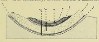 An illustration from The principles and practice of brewing (1907)