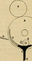 An illustration from The principles and progress of printing machinery (1900)
