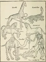 Picture 4 of 11 from The printed book (1916), leaf 113