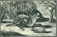 An illustration from The printed book, its history, illustration, and adornment, from the days of Gutenberg to the present time (1887)