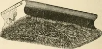 An illustration from Printing; a practical treatise on the art of typography as applied more particularly to the printing of books; (1890)