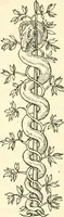 An illustration from Printing and the renaissance: a paper read before the Fortnightly club of Rochester, New York, by John Rothwell Slater (1921)
